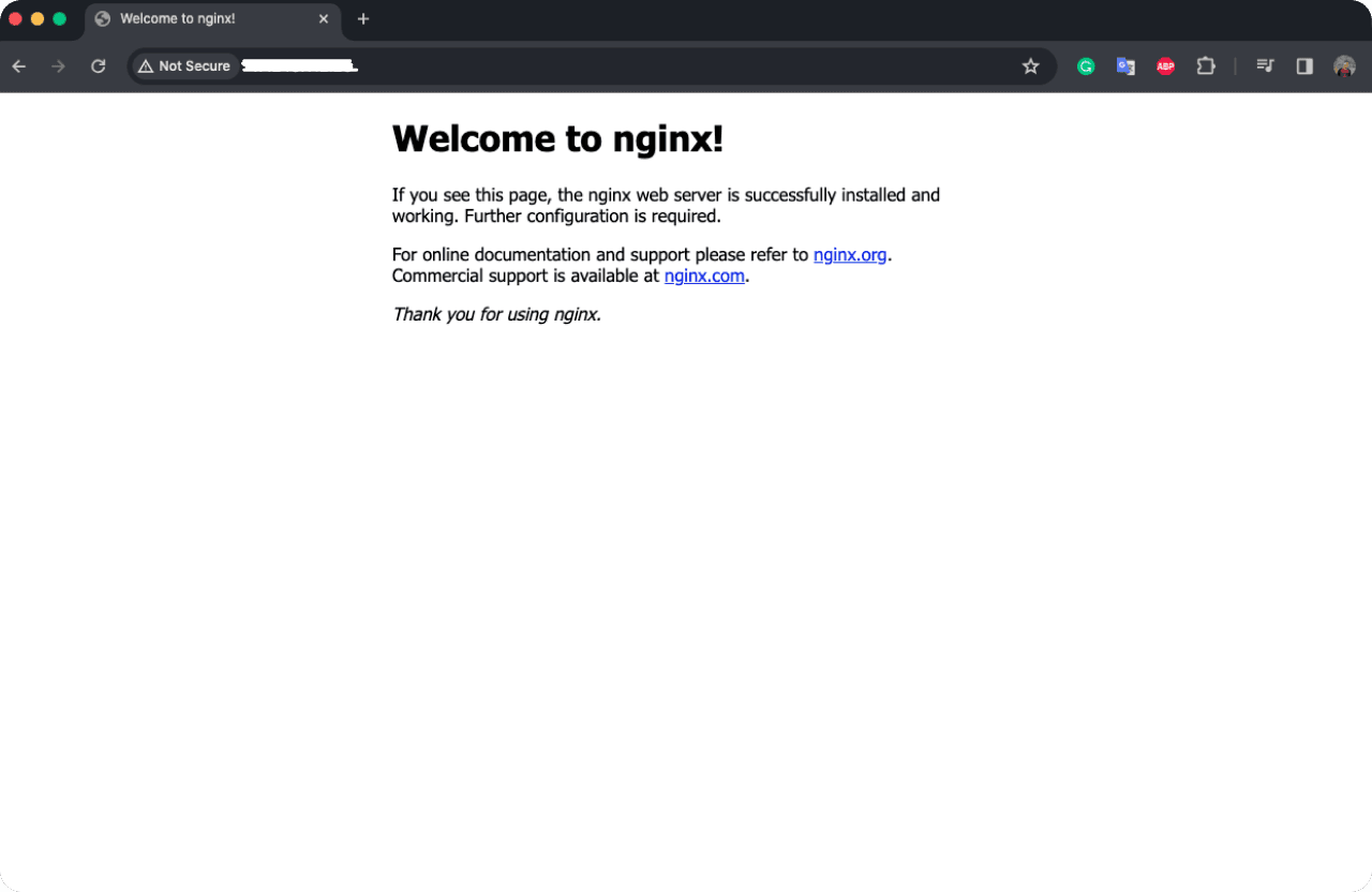 Image welcome nginx from srya.me